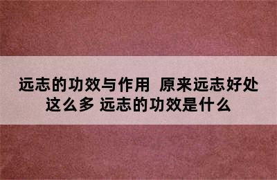 远志的功效与作用  原来远志好处这么多 远志的功效是什么